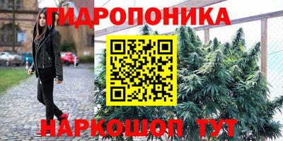 трава Дубна
