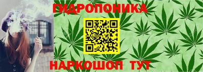 дурь Донецк
