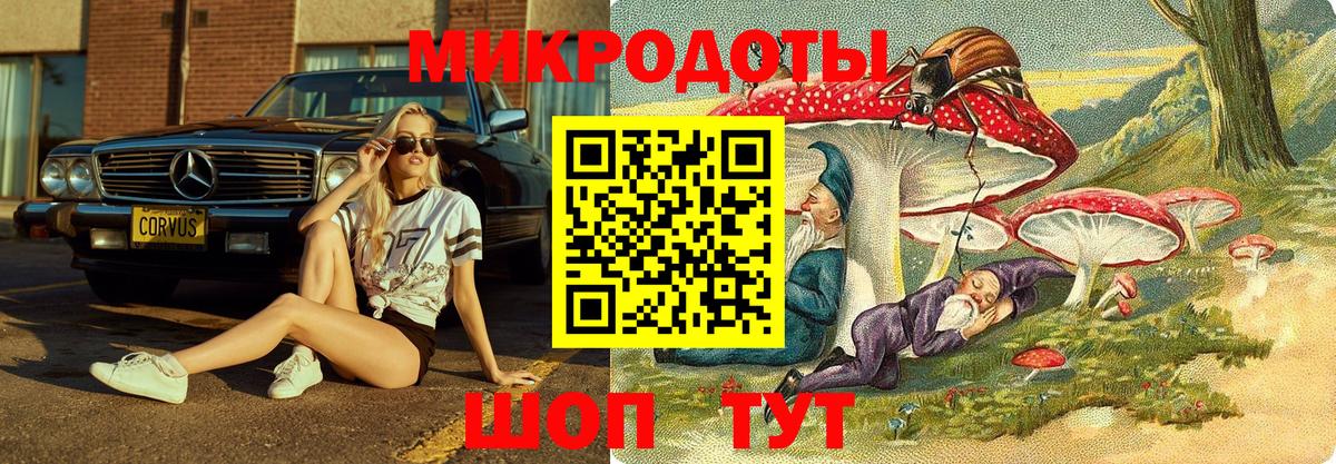 Ногинск  Псилоцибиновые грибы GOLDEN TEACHER  Вход с VPN 