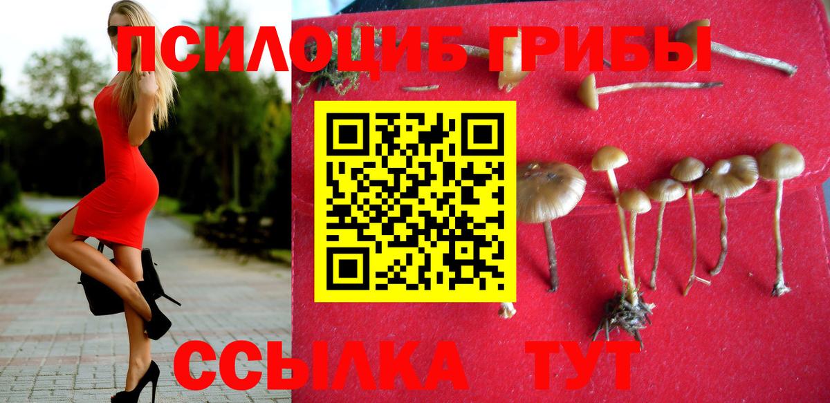 Галлюциногенные грибы MAGIC MUSHROOMS Ногинск